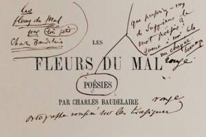 Les Fleurs du mal de Charles Baudelaire